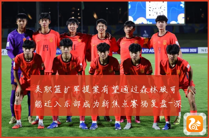 美职篮扩军提案有望通过森林狼可能迁入东部成为新焦点赛场复盘-深度解析