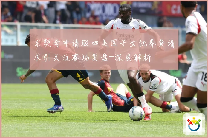 东契奇申请驳回美国子女抚养费请求引关注赛场复盘-深度解析